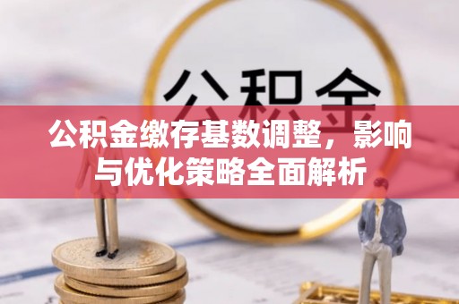 叙永公积金缴存基数调整，影响与优化策略全面解析