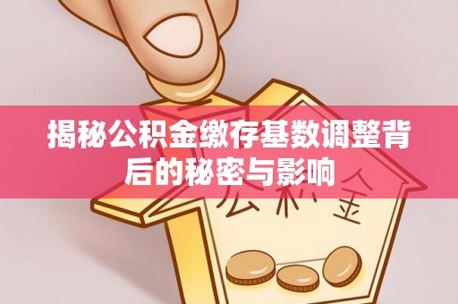 叙永揭秘公积金缴存基数调整背后的秘密与影响