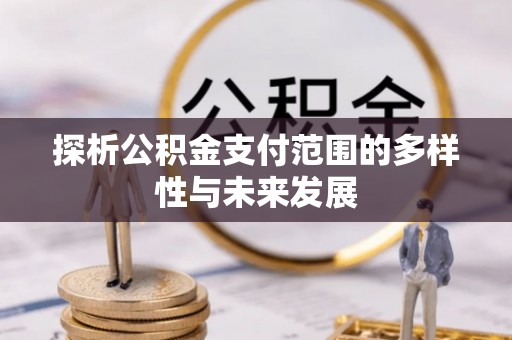 叙永探析公积金支付范围的多样性与未来发展