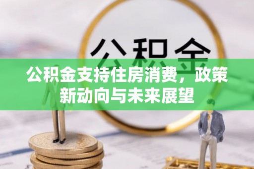 叙永公积金支持住房消费，政策新动向与未来展望