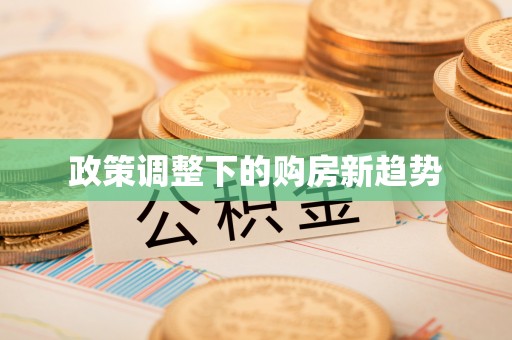 叙永政策调整下的购房新趋势