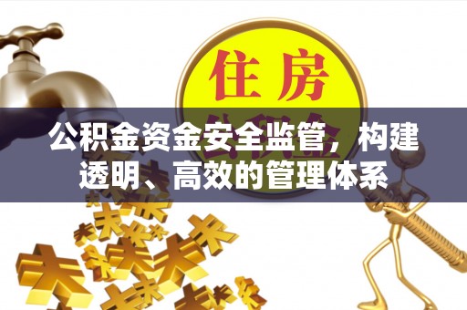 叙永公积金资金安全监管，构建透明、高效的管理体系