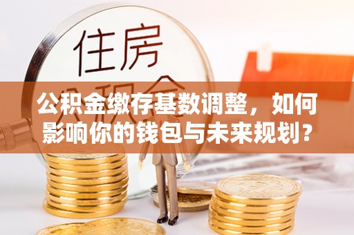 叙永公积金缴存基数调整，如何影响你的钱包与未来规划？