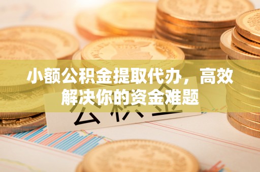 叙永小额公积金提取代办，高效解决你的资金难题