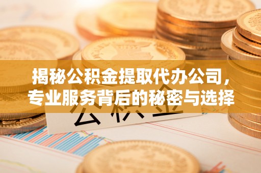 叙永揭秘公积金提取代办公司，专业服务背后的秘密与选择指南