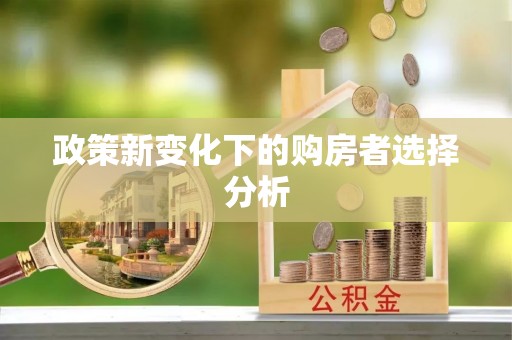 叙永政策新变化下的购房者选择分析