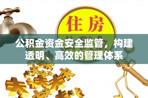 叙永公积金资金安全监管，构建透明、高效的管理体系
