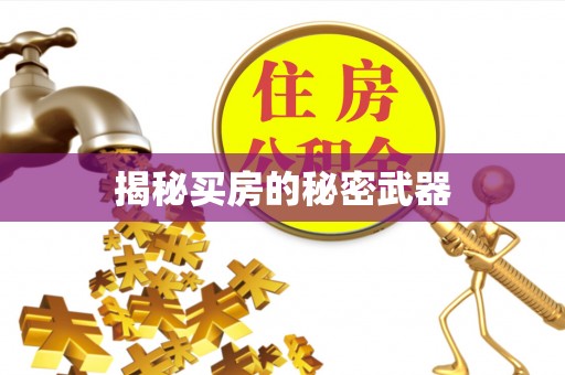 叙永揭秘买房的秘密武器