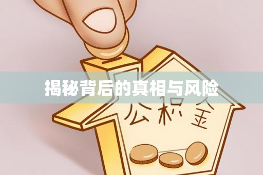 叙永揭秘背后的真相与风险