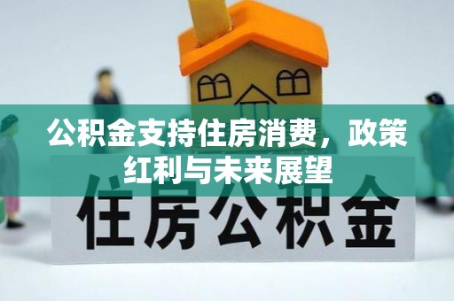 叙永公积金支持住房消费，政策红利与未来展望