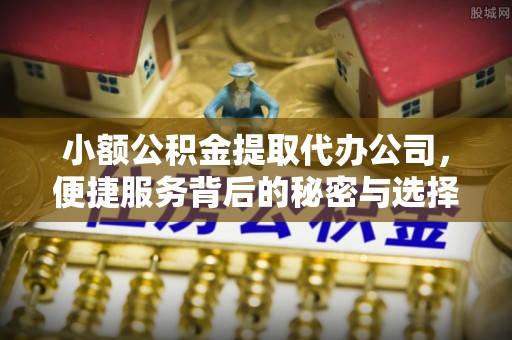叙永小额公积金提取代办公司，便捷服务背后的秘密与选择指南