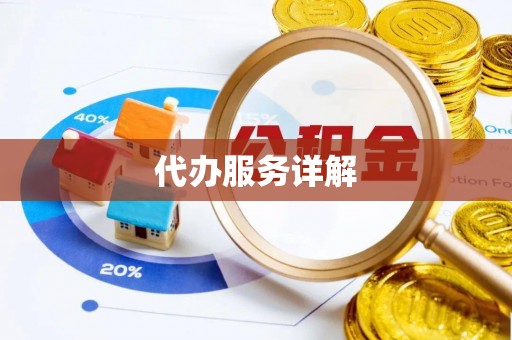 叙永代办服务详解