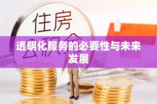 叙永透明化服务的必要性与未来发展