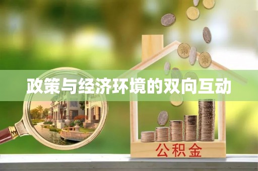 叙永政策与经济环境的双向互动