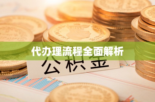 叙永代办理流程全面解析