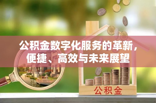 叙永公积金数字化服务的革新，便捷、高效与未来展望