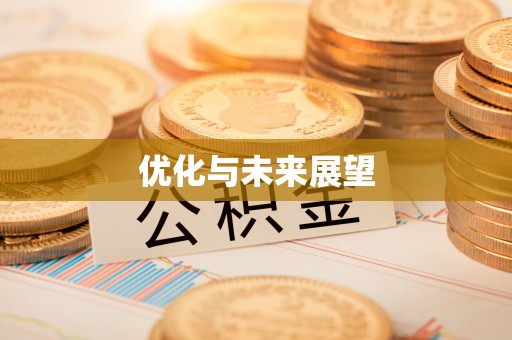 叙永优化与未来展望