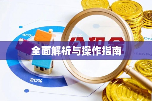叙永全面解析与操作指南