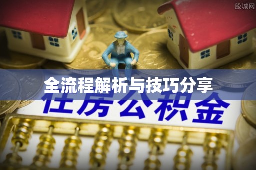 叙永全流程解析与技巧分享